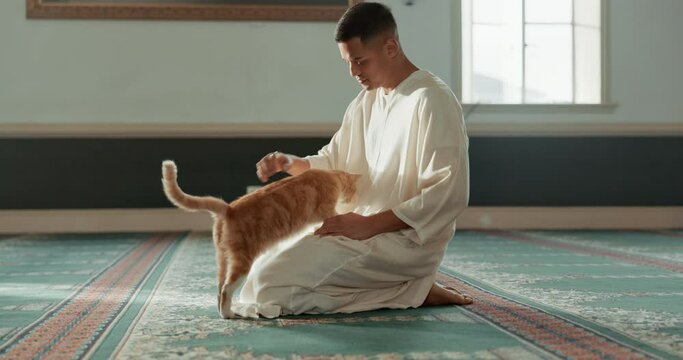 Cat, islamic and man with pet in a mosque for praying, peace and spiritual care in holy religion for Allah. Respect, gratitude and Muslim person with kindness for animal or kitten after worship