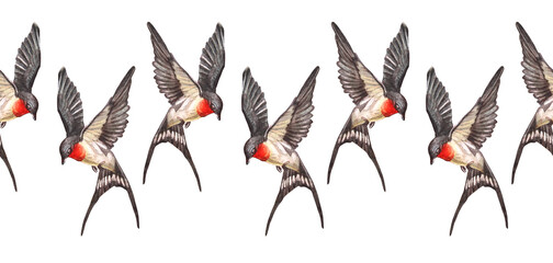 Seamless rim with watercolor swift flying swallow in sky on white background. Hand-drawn spring and summer bird for card or wedding celebration invite. Border for sketchbook. Wallpaper or wrapping