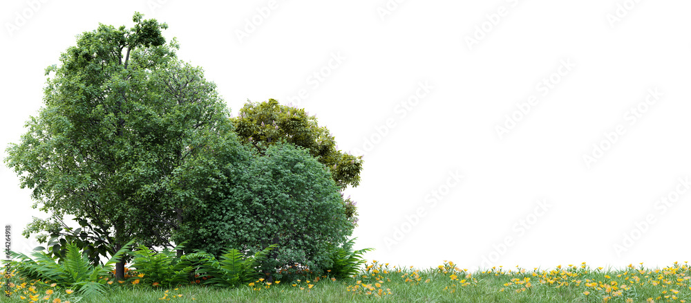 Poster group of tree isolated on transparent background 3d rendering png