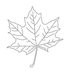 Hand drawn illustration of fallen leaves from trees in fall season. Foliage of various colors is produced.