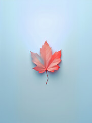 A close-up of a single dry red autumn maple leaf on a blue gradient background. This simple design...