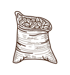 coffee beans in a sack icon