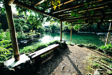 Fototapeta premium 三島の日本庭園