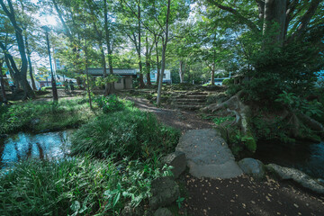 三島の日本庭園