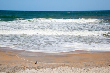 Atlantic Sand and Sea