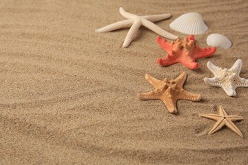 Fototapeta na wymiar Beautiful sea stars and shells on sand, space for text