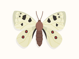 Butterfly top view concept. Cute insect with colorful patterns on wings. Fauna and wildlife. Sticker for social networks. Cartoon flat vector illustration isolated on white background