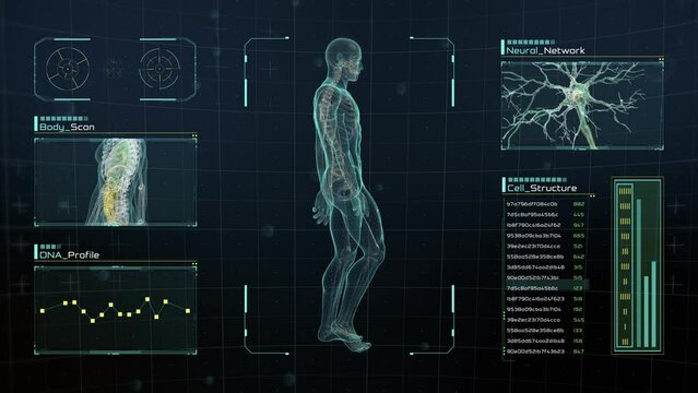 Anatomical Scan of Human Male Walking on Futuristic Touch Screen Interface displaying bones, organs, and neural network activity. Concept: In the Near Future of Medicine and Healthcare. 