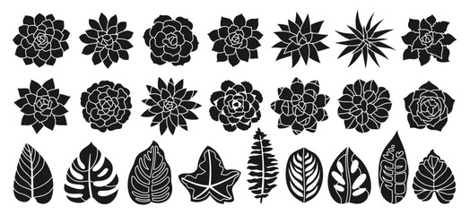 Succulent houseplant silhouette stamp set. Print shape home plant urban tropical jungle decor. Succulents hand drawn figure desert flower collection. Floral garden design for invitation poster vector