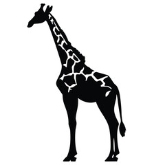 Black silhouette of a giraffe isolated