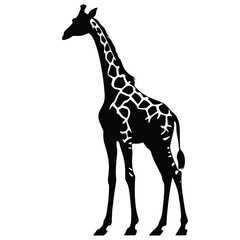 Black silhouette of a giraffe isolated