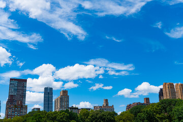 Fototapeta na wymiar city nature landscape with skyscraper. nyc and manhattan. scenic landscape of central park ny and skyscraper. urban central park at manhattan view. central park of new york. diverse landscapes