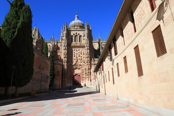 Fototapeta premium Travel to Spain. Salamanca. Attractions
