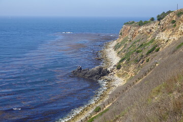 Terranea Trail - Bluffs - Palos Verdes, CA