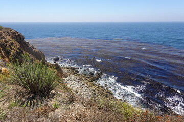Terranea Trail - Bluffs - Palos Verdes, CA