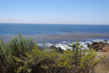 Terranea Trail - Bluffs - Palos Verdes, CA