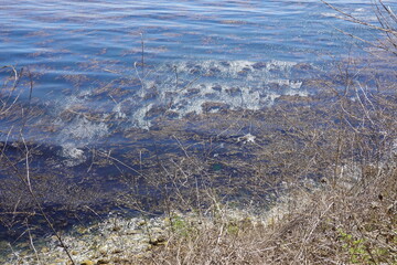 Terranea Trail - Bluffs - Palos Verdes, CA
