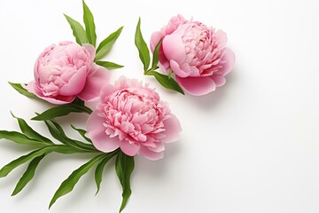 Peony bouquet on white background with space. Top view of long stalks and leaves. Flat lay. Generative AI