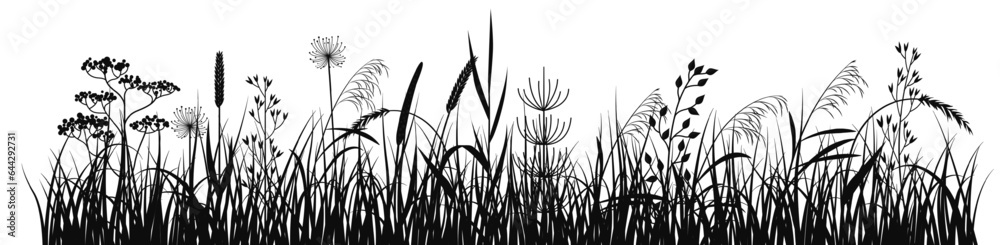 Wall mural wild grass black silhouette. meadow horizontal silhouette