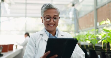 Scientist, tablet and woman in research for botany, plant and happy in greenhouse. Science tech, leaf and mature medical professional doctor in agriculture, farming and typing on internet at garden