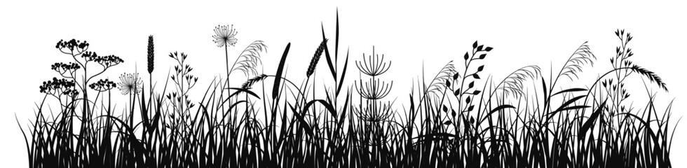 Wild grass black silhouette. Meadow horizontal silhouette
