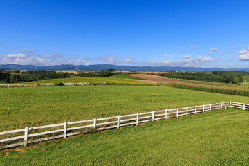 草原と牧場の白い柵