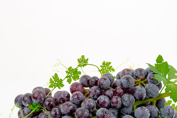 Purple grape Kyoho Grape with leaves on white background