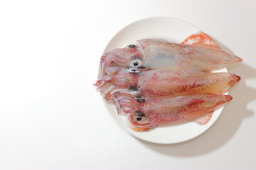 제주도 사람들이 즐겨먹는 오징어과 한치 한접시