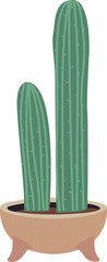 Succulent in ceramic pot. Green cactus home decoration