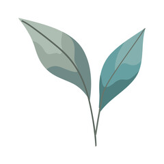 leaves natural icon