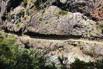 River full of boulders and the water is brownish inside Karangahake Gorge Historic walkway in New Zealand.