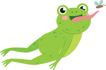 Obraz premium Frog catch flies. Fast jumping cute animal