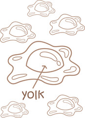 Alphabet Y For Yolk Vocabulary School Lesson Cartoon Coloring Pages for Kids and Adult