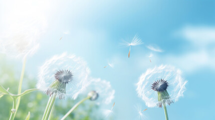 Dandelion blowing in the breeze, soft lighting, pastel colours, sunny day.