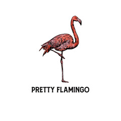 illustration of a pretty beautiful animal flamingo enjoyed in the wild for logo icon