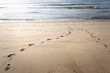 footprints in the sand walking on a beach with a change of direction 