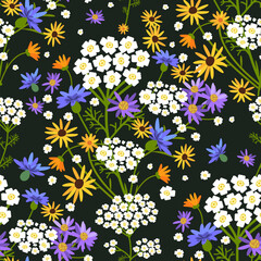 Vector seamless floral pattern. Wildflowers on a dark background. - 644311902