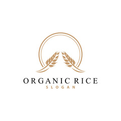 Fototapeta na wymiar Wheat Grain Rice Logo, Simple Design Organic Vector Illustration Icon Template