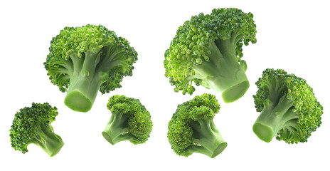Green fresh broccoli isolated on a white background