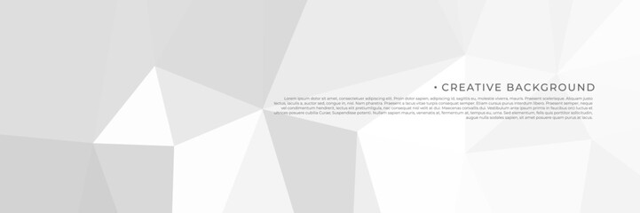 abstract white triangles background for business template