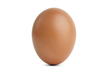 single chicken egg isolated on png or white background. easter egg