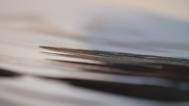 macro shot of a small brush stroking black ink on white paper