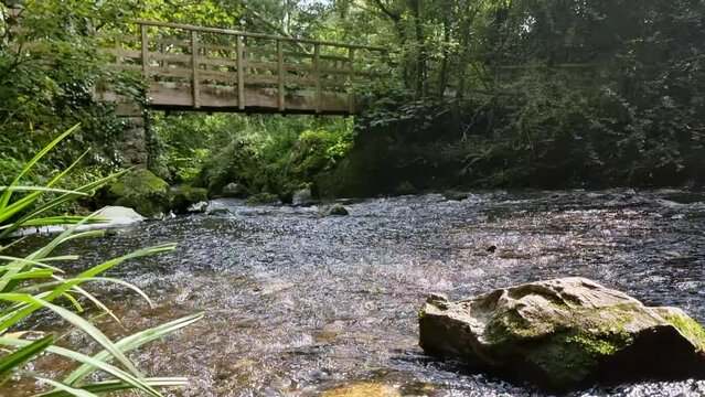 Picturesque freshwater stream flowing under wooden bridge in woodland forest nature reserve