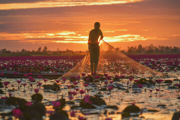 Beautiful nature Landscape red Lotus sea in the morning with sunrise.thailand