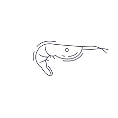 Shrimp line icon. Shrimp thin line icon.