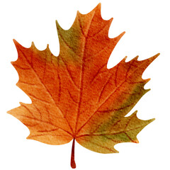 Obraz premium Autumn elements