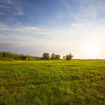 wide green summer prairie at the pale sunset © Yuriy Kulik