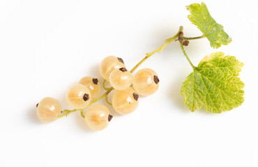 Berry yellow currant isolated on white background. Close-up