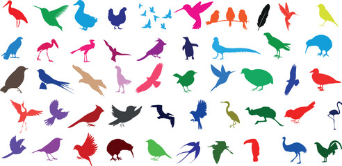 Colorful bird silhouettes on white background. Vector illustration of various birds in different colors and poses. Perfect for nature, wildlife, or art projects