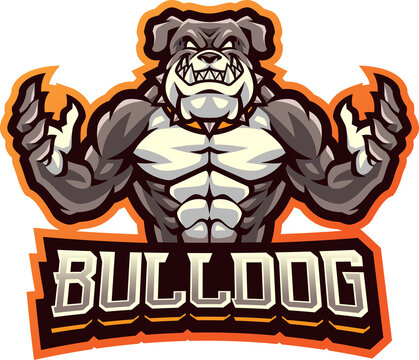 Bulldog fighter mascot